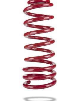 COIL SPRING - REAR - PONTIAC G8 2008-2009 - X-RAISED Fashion