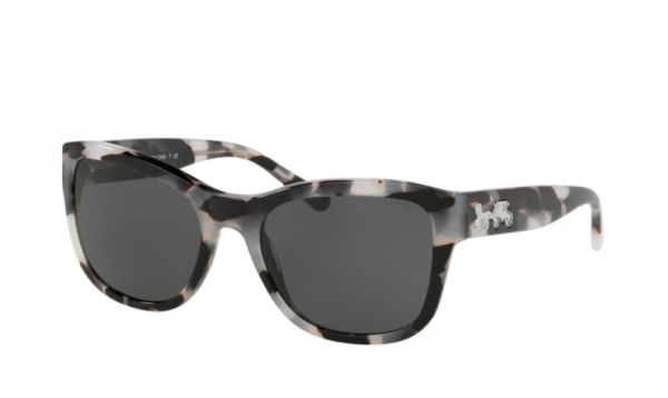 Coach 0HC8243 Sunglasses Sale