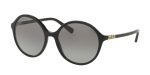 Coach L1593 HC8188B 500211 55 MM Sunglasses Online Sale