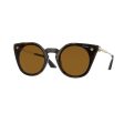 Versace 0VE4410 Sunglasses on Sale