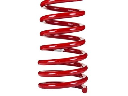 COIL SPRING - REAR - CHEVY CAMARO 2010-2015 - SPORTS RYDER - LOW on Sale