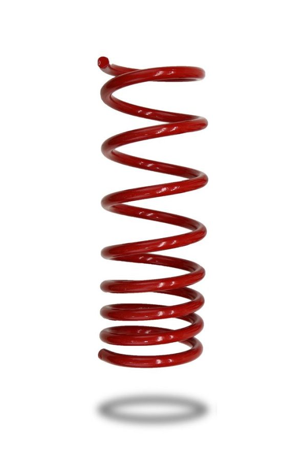 COIL SPRING - REAR - FORD FOCUS RS 2016-PRESENT - LOW Discount