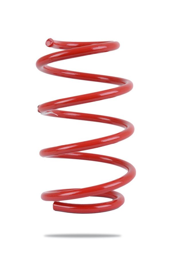 COIL SPRING - FRONT - FORD MUSTANG S550 - LOW For Sale