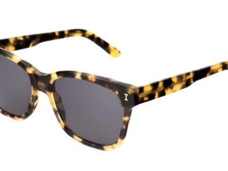 Illesteva Mott Sunglass on Sale