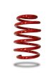 COIL SPRING - FRONT - FORD FOCUS RS 2016-PRESENT - LOW Sale