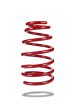 COIL SPRING - FRONT - FORD MUSTANG S197 - LOW Online now